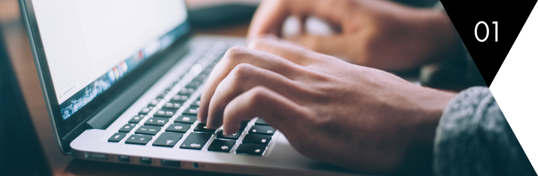 Web system development