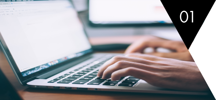 Web system development